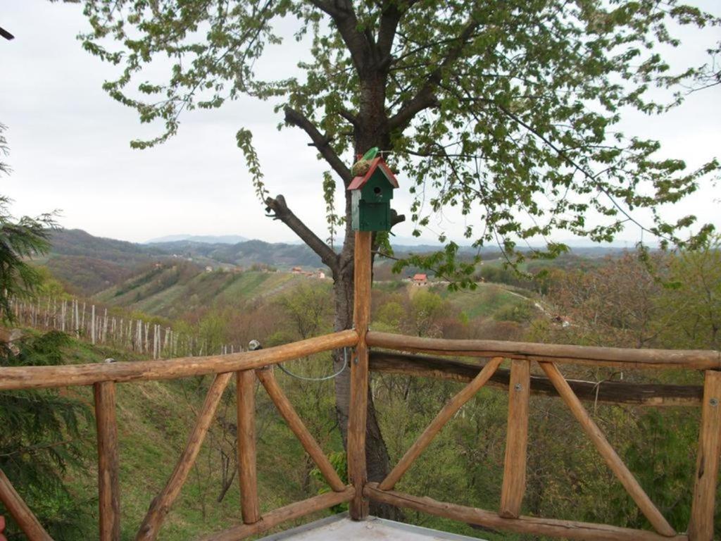 Kuća sa apartmanima Šemnica - za odmor i proslave! photo 4