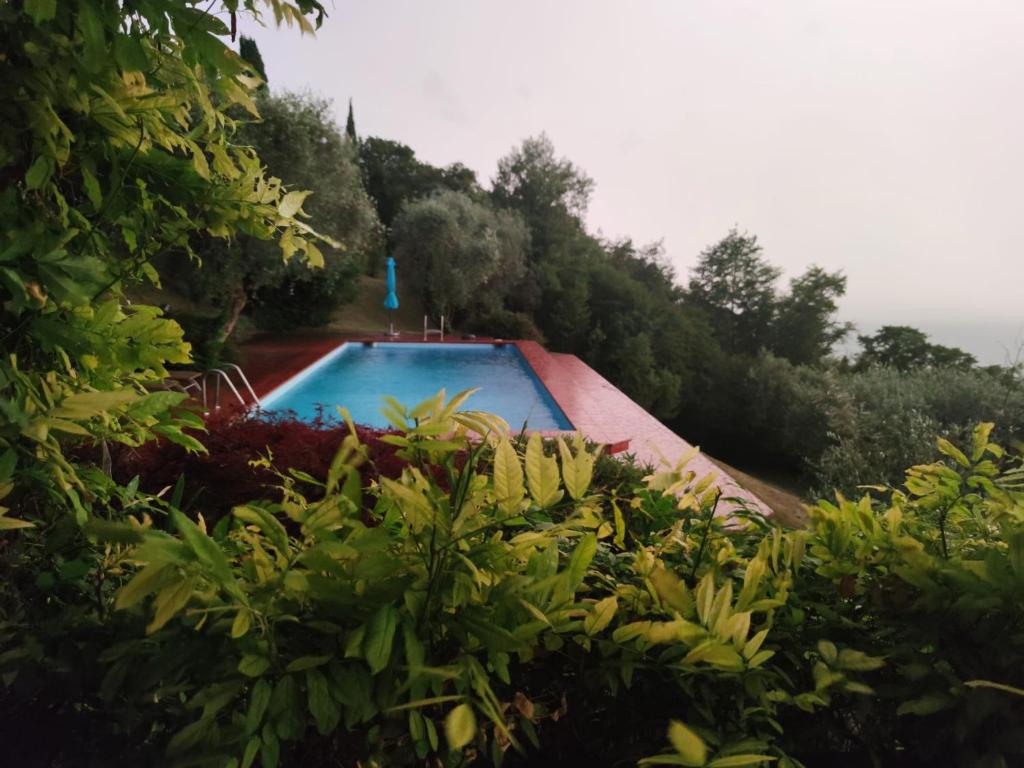Villa Uliveta photo 4