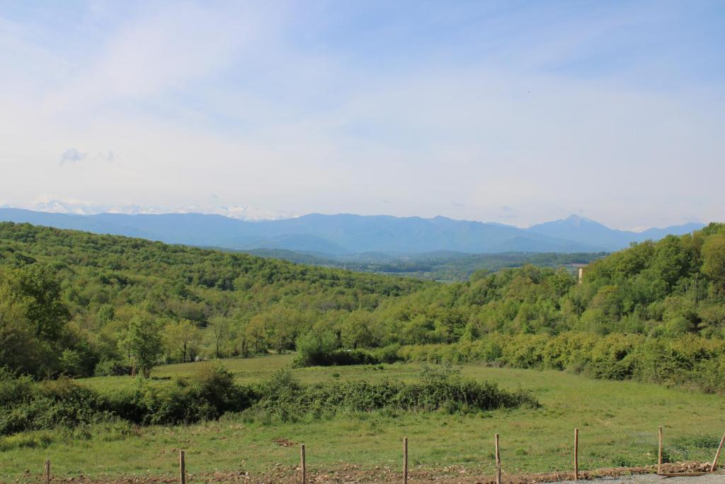 Domaine de Balesta photo 4