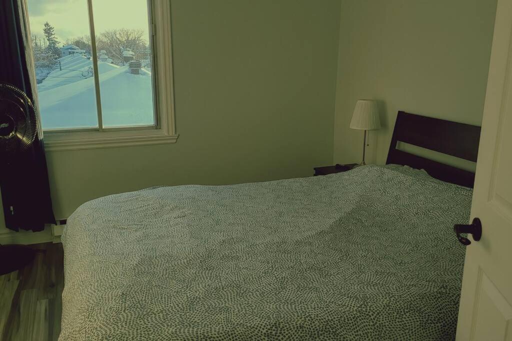 Cozy 2BR in VieuxLongueuil +parking 14min Downtown photo 1