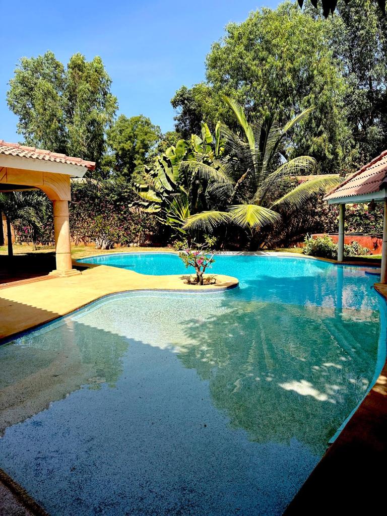 COCO KASSOUMAÏ by LES VILLAS KASSOUMAÏ à 100m de la plage photo 3