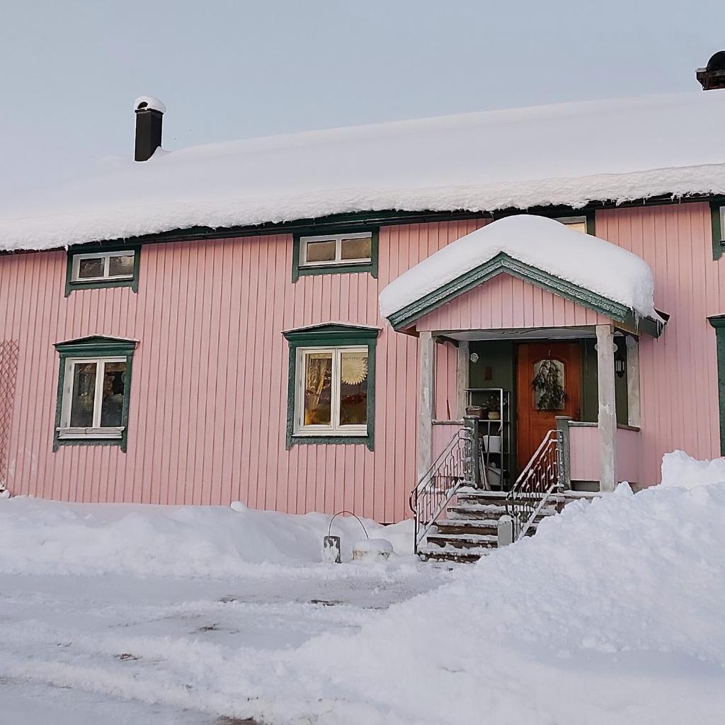 Private Room in Pink House photo 4