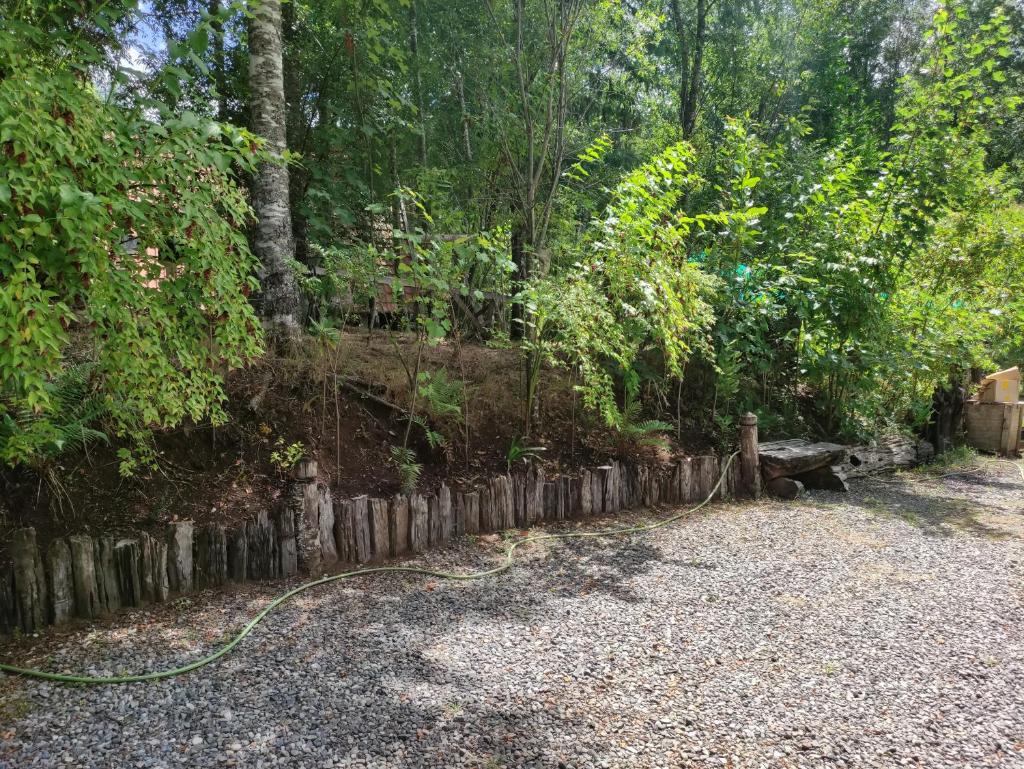 Relun Lodge photo 1