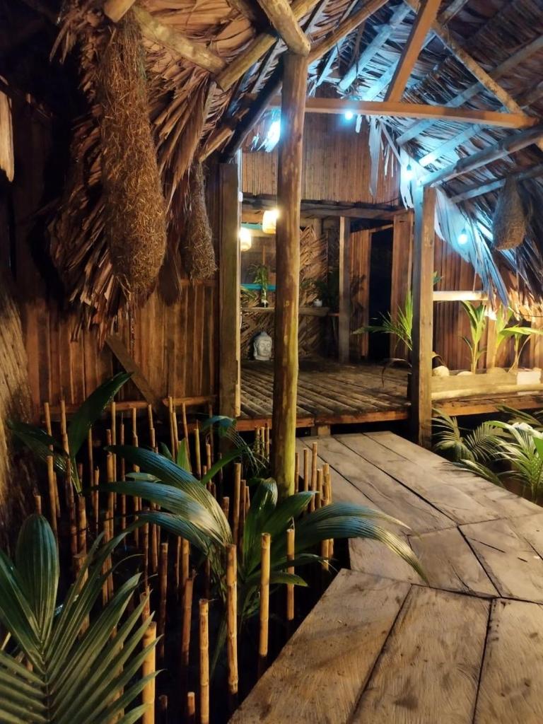 HOSTAL CASITA MATATA photo 3
