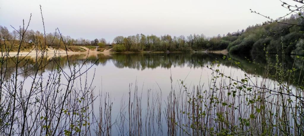 Stacaravan Il Piccolo Nido in bosrijke omgeving Eext photo 1
