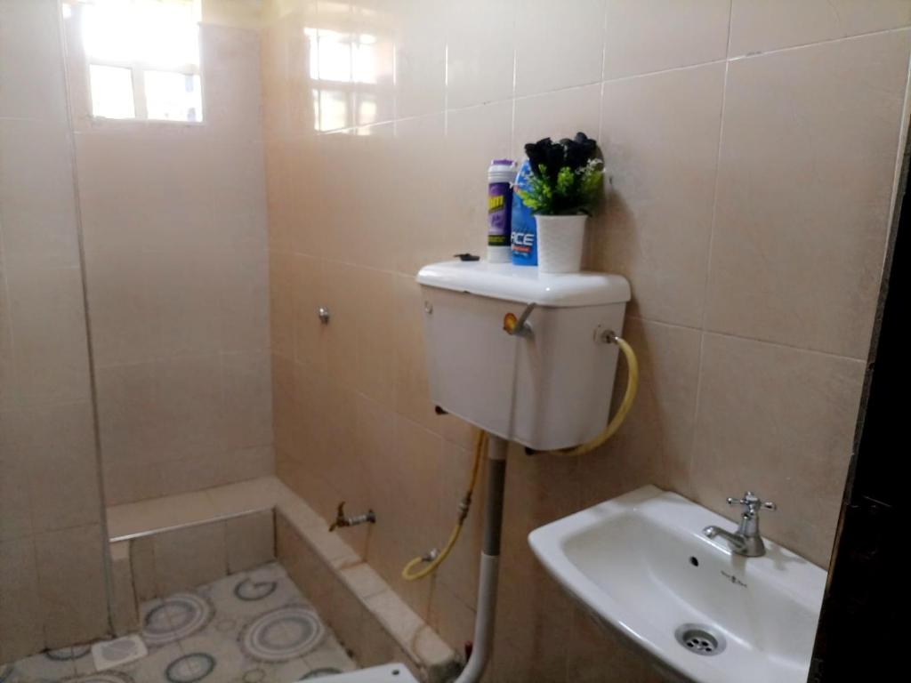 Cozy apartment kisii photo 2