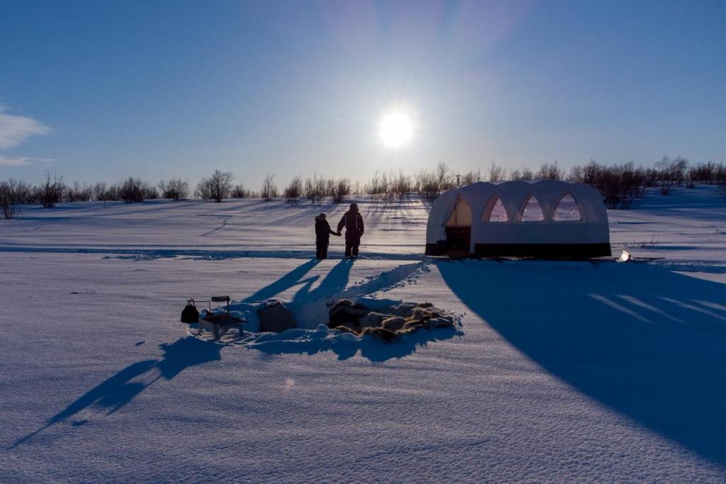 Aurora sled photo 4