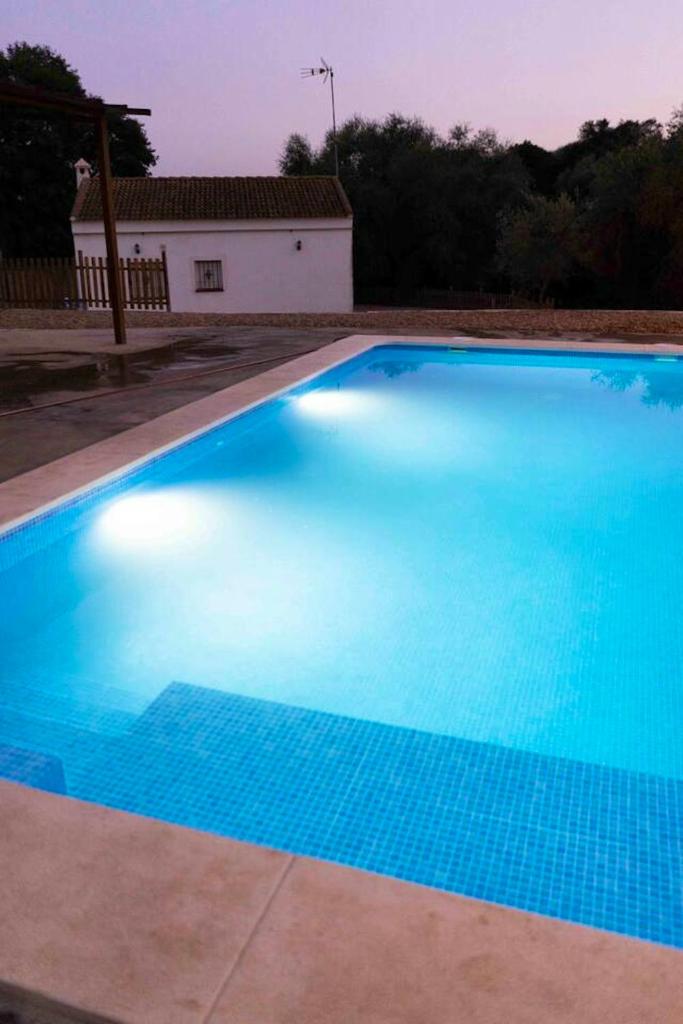 3 bedrooms chalet with private pool terrace and wifi at Cordoba photo 4