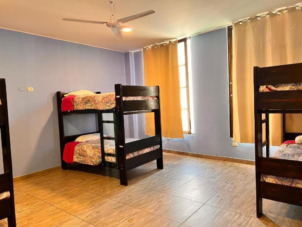 Desert Nights Hostel photo 1