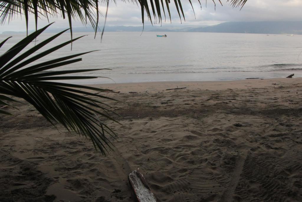 Posada Las Palmera Huina photo 2