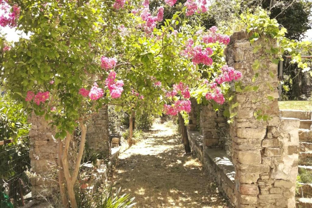 One bedroom appartement with terrace and wifi at Finocchito