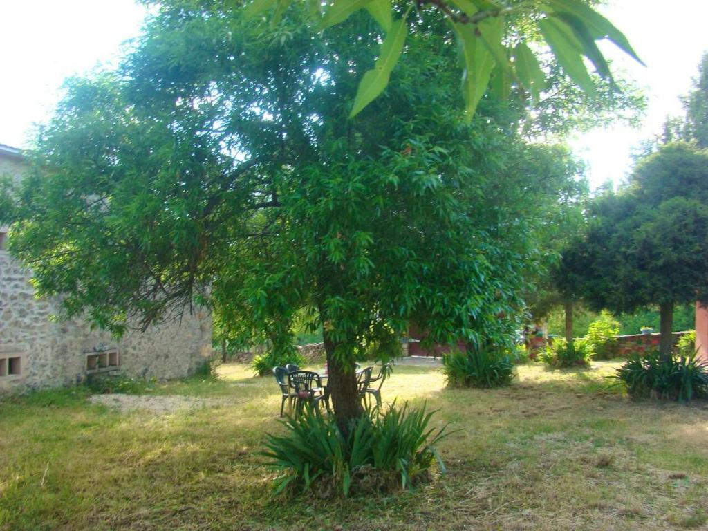 5 bedrooms house with terrace and wifi at Aldehuela Sepulveda photo 3