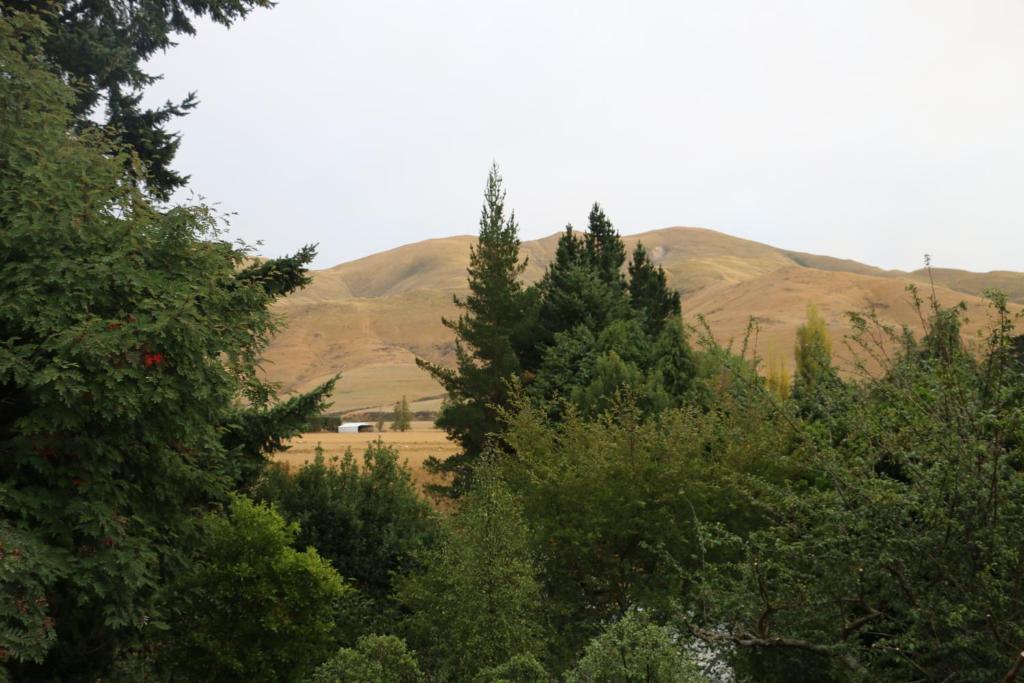 Alpine Views Burkes Pass photo 3