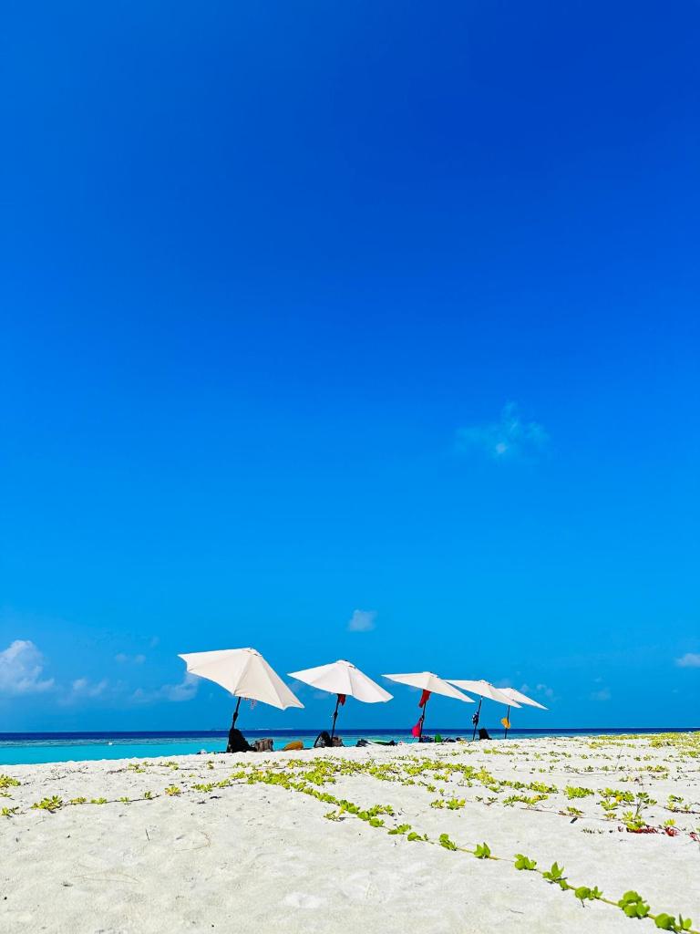 Gaafaru B&B photo 3