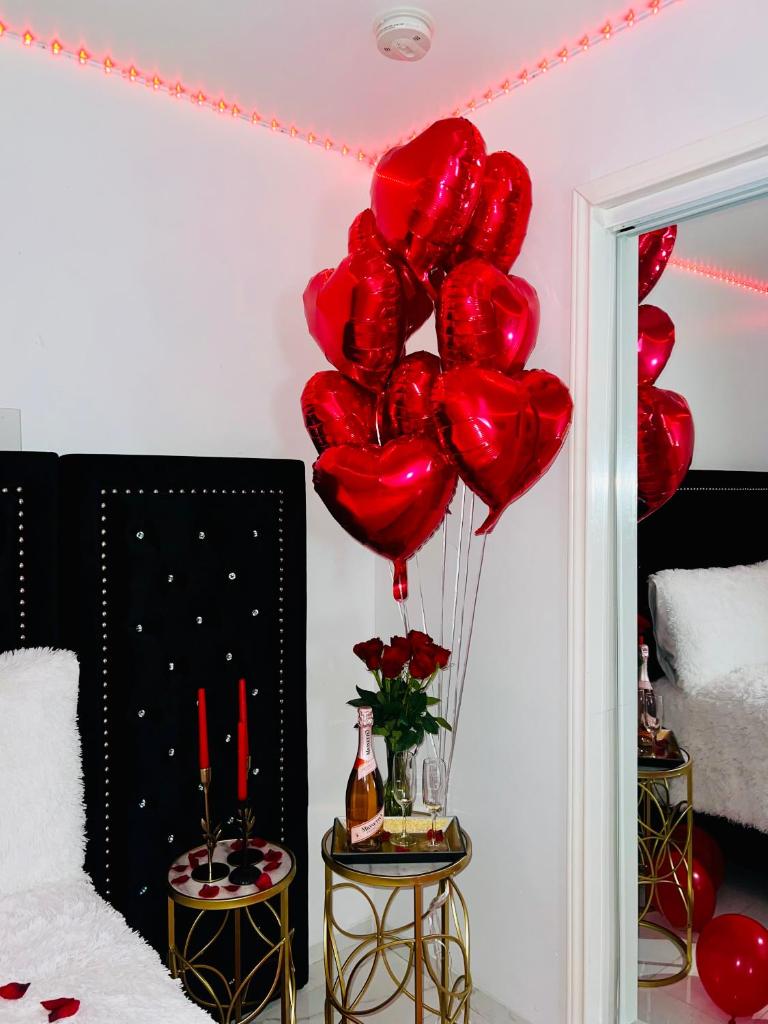 Luxury Studio only 5 miles to IAH photo 3