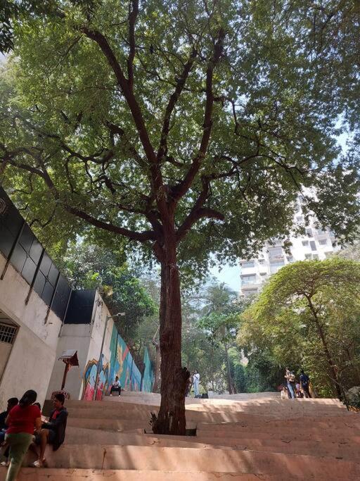1bhk flat Bandra photo 4