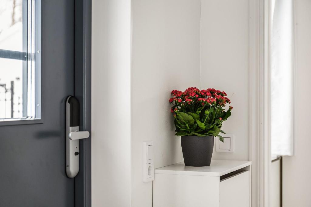 Modern New Stylish Apartment photo 4