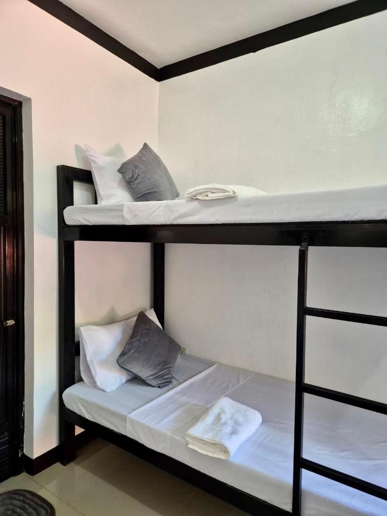 Casa Olivia photo 2