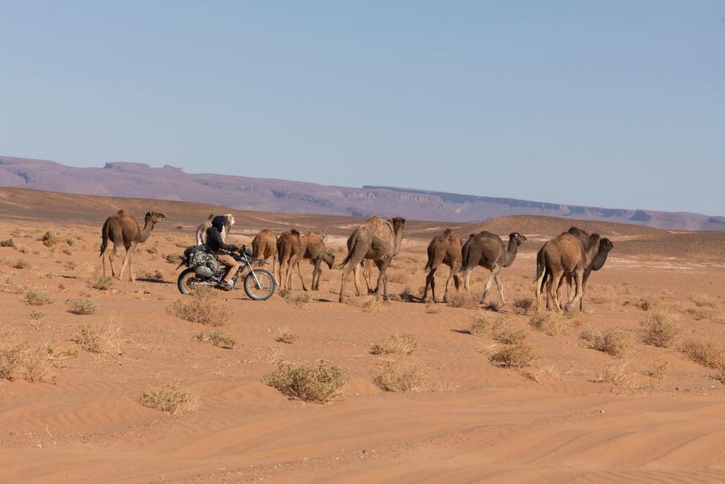 Erg Chegaga Desert Standard Camp photo 1
