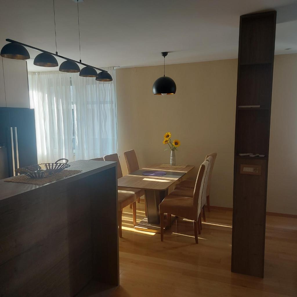 APARTMAN CENTAR BULEVAR EX sa GARAZOM photo 2