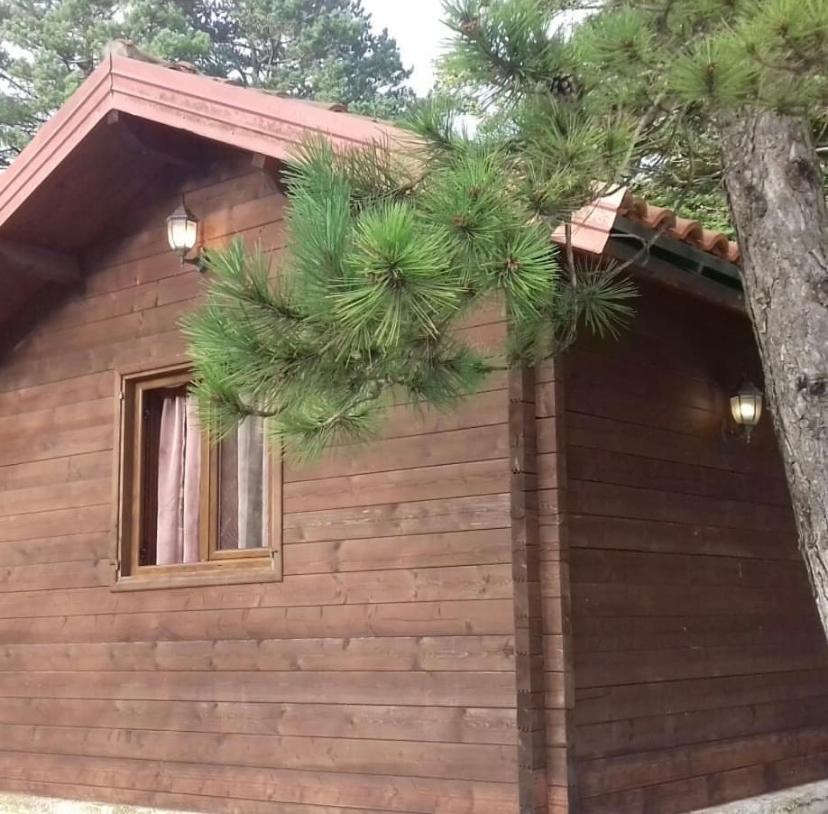 the grandpa's chalet