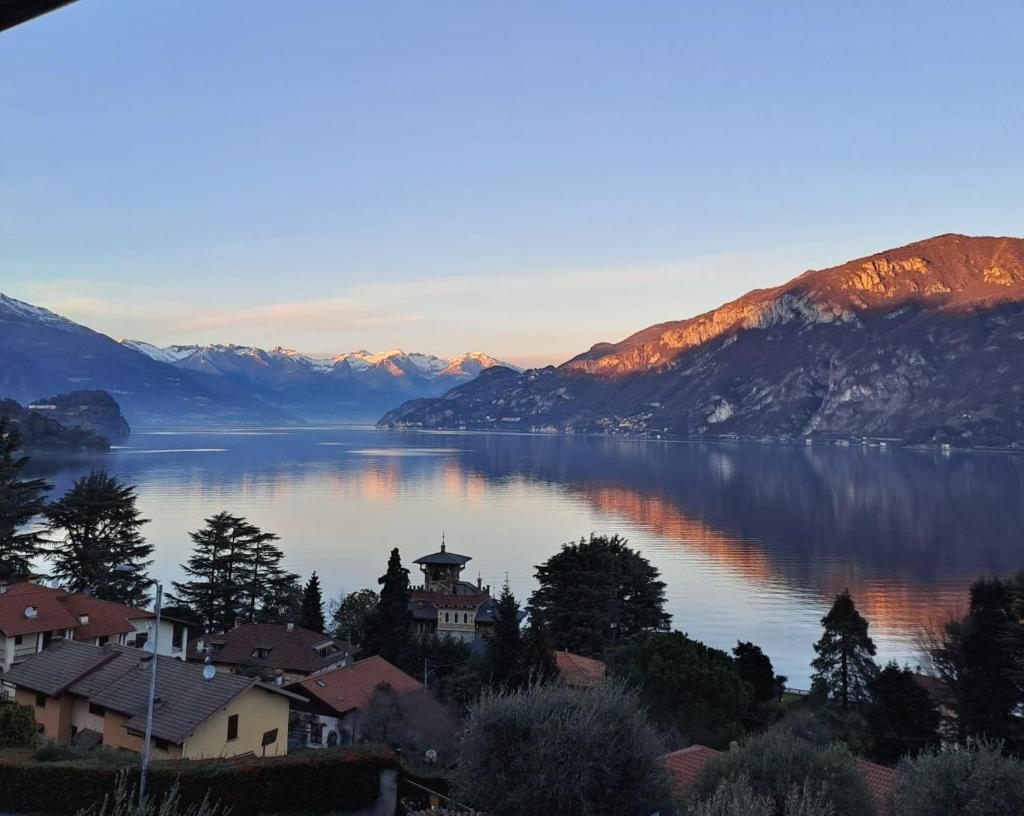 Da Vinci Refuge 2
