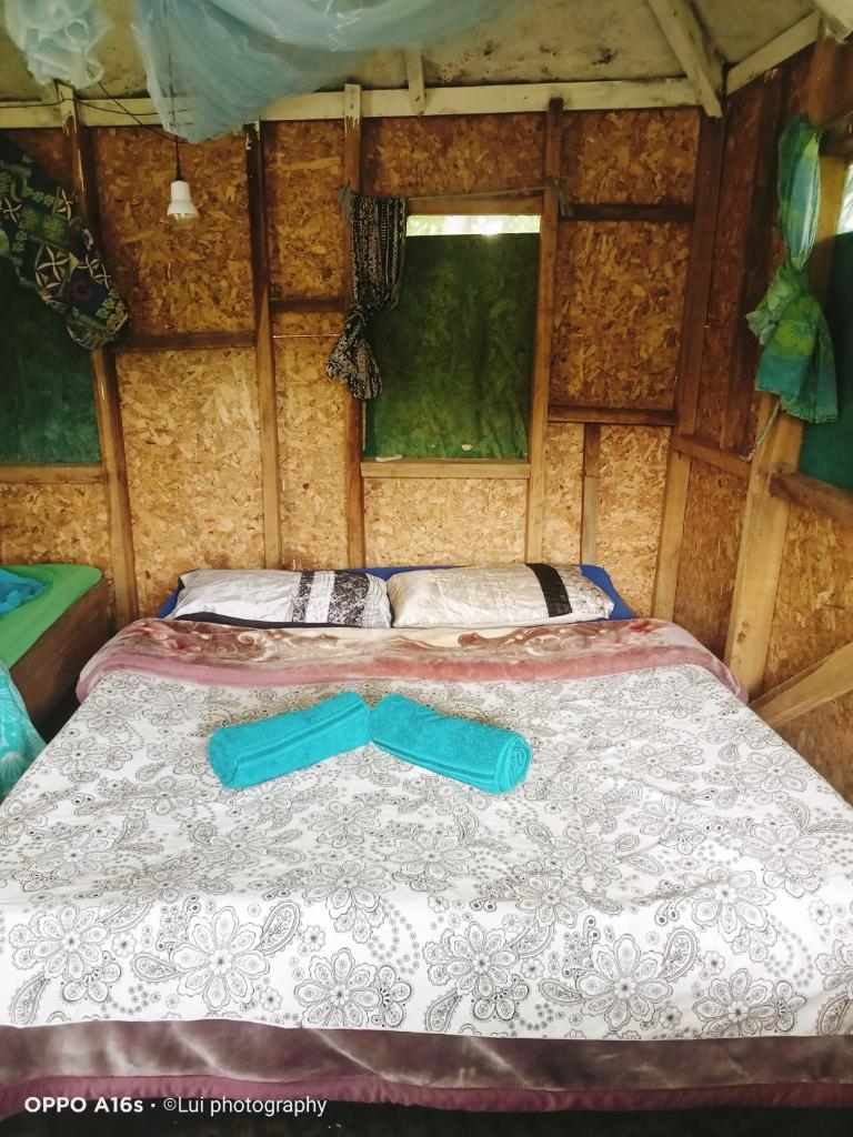 Tanna Eagle twin volcano view tree house