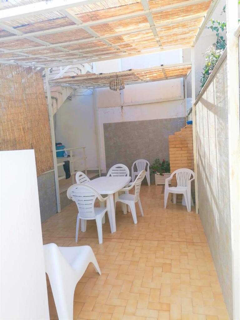 Gambusia photo 1