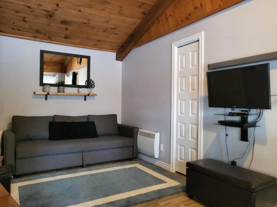 CHALET AUX MÉLÈZES AVEC SPA ET PISCINE CREUSÉ PRIVÉ photo 1