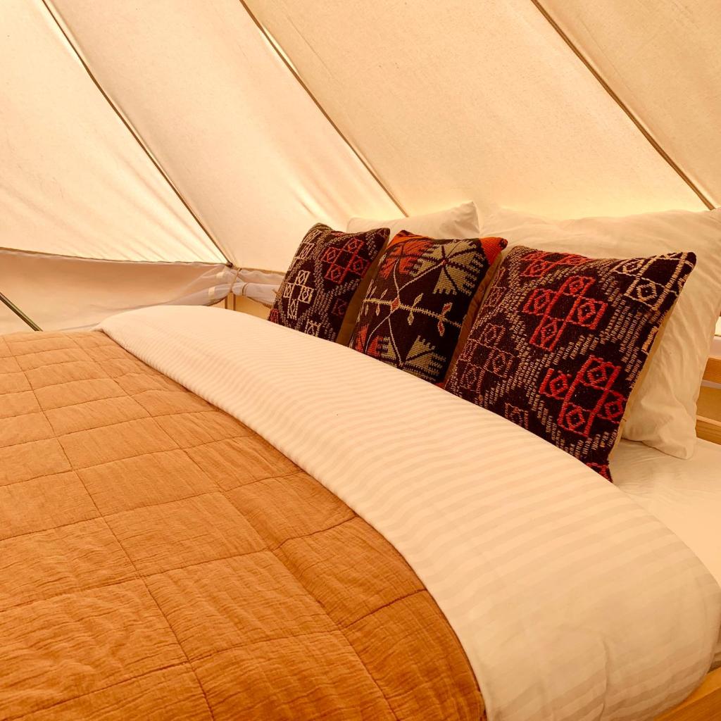 Rosehip camp photo 1