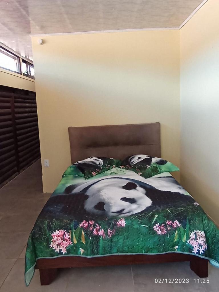 Apartamento real photo 1