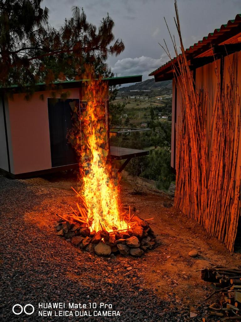 Amonitas Glamping Deluxe photo 2