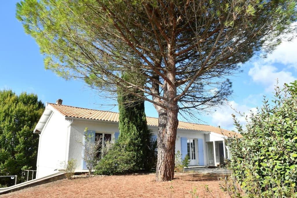 Maison à 6 km de Eymet piscine chauffée. photo 2