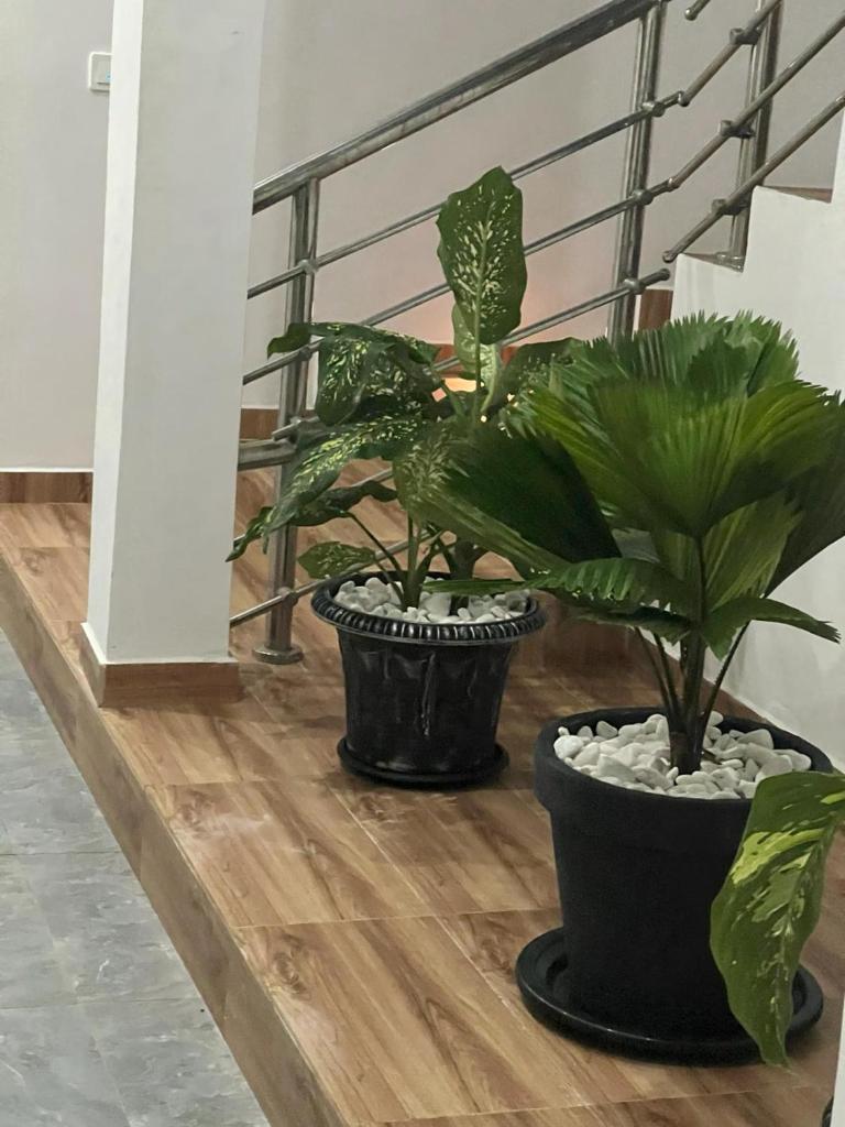 Villa Serenity with Swimming Pool, Home Theater, and Gym photo 2