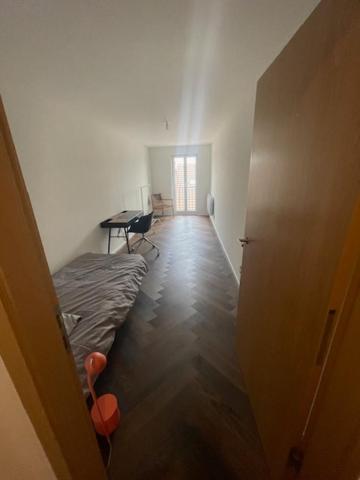Appartement centre-ville d'Evian les Bains photo 3