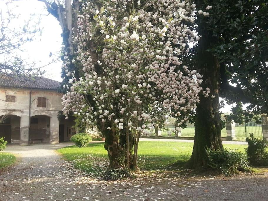 Villa Gattoni Cattaneo - Appartamento Il Pozzo