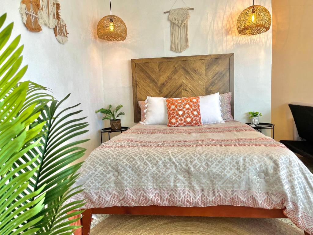 Casa Estrella Azul photo 1