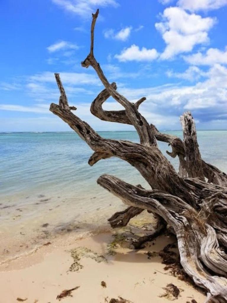 Propriete d'une chambre a Capesterre de Marie Galante a 300 m de la plage avec wifi photo 2