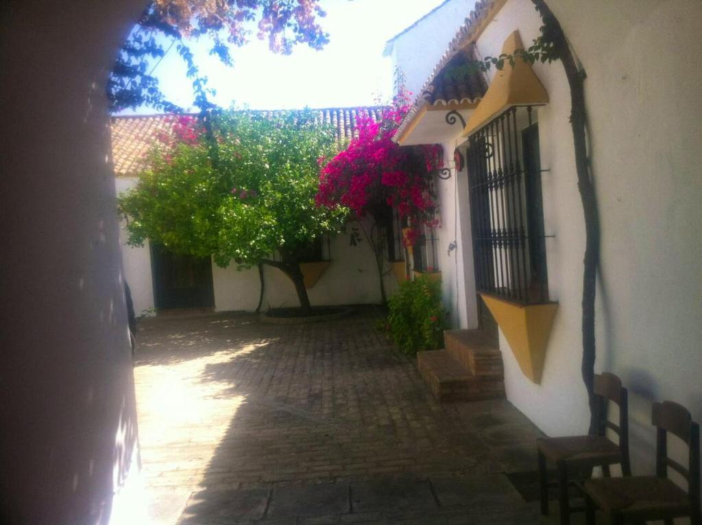 8 bedrooms chalet with private pool terrace and wifi at Alcala de Guadaira photo 4