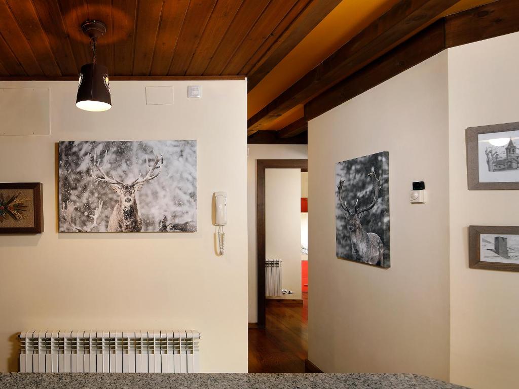 Apartamento La Santeta de Aran photo 4