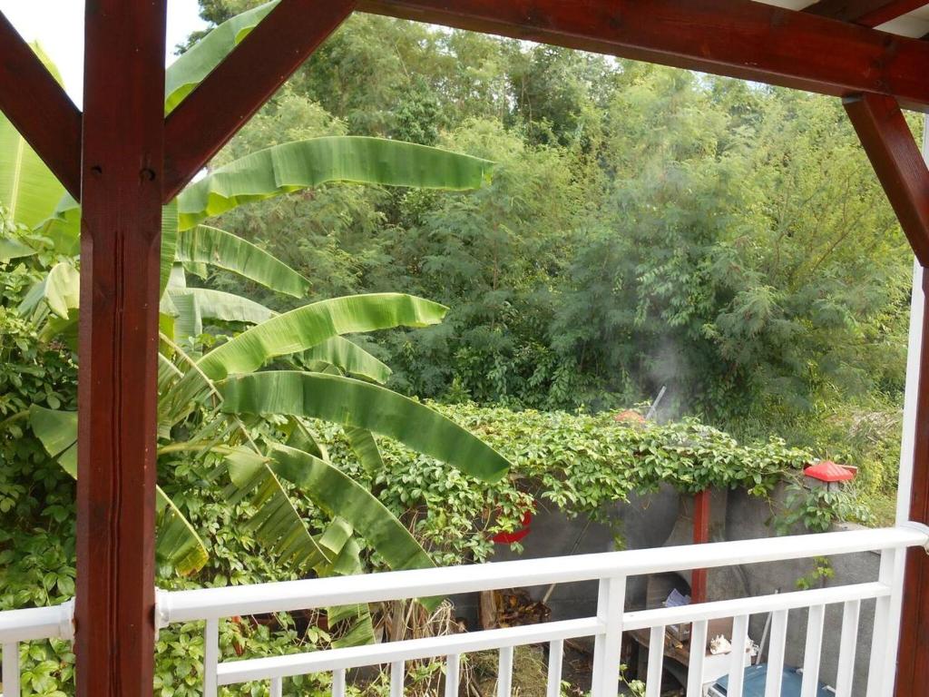 Appartement de 2 chambres a Anse Bertrand a 500 m de la plage avec wifi photo 3