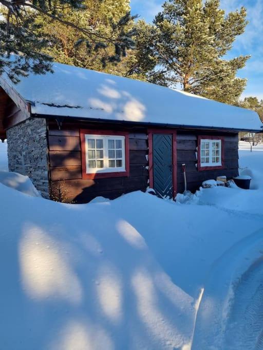 Koslig hytte ved Grimsdalen photo 3