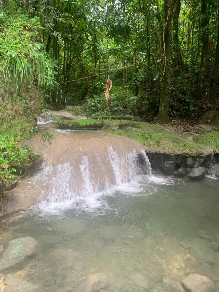 Nonsuch Falls - Journey to Paradise - Modern Waterfall Escape photo 3
