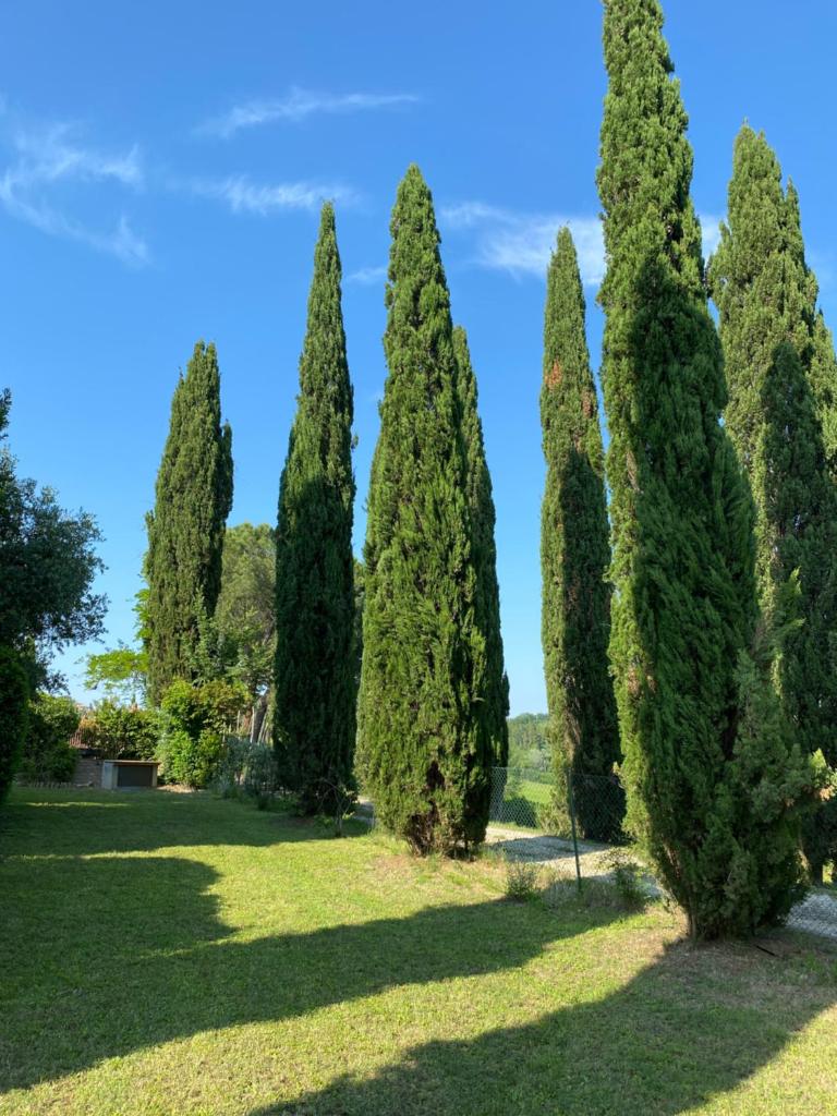 Villa Tre Colli - In The Heart Of Tuscany photo 3