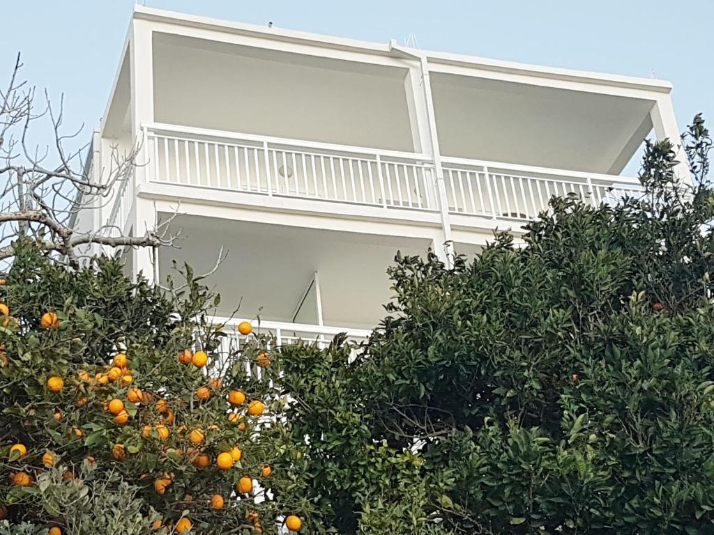 Apartmani Anda photo 2