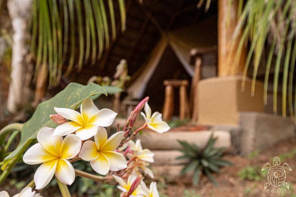 Casa La Aventura Guasacate - Popoyo photo 1