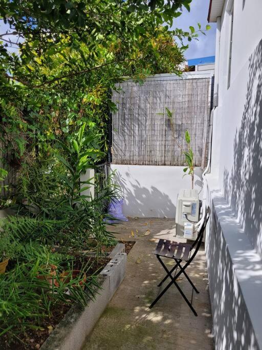 Tropical urban photo 4