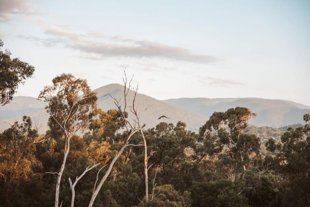 Tarrawarra Retreat photo 3