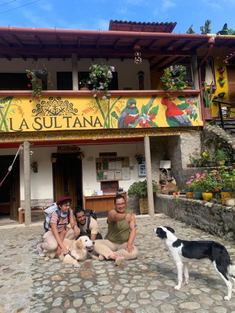 Hotel La Sultana photo 4