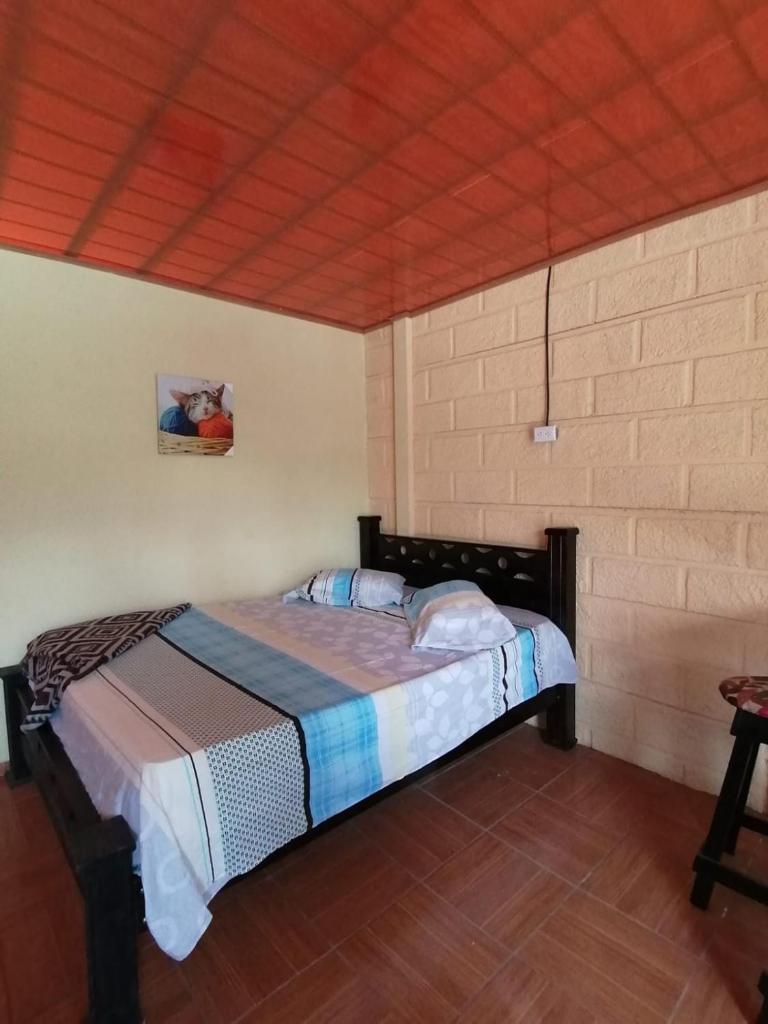 Apartamento Toby photo 4